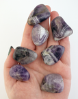 Dogtooth Amethyst Tumbled Crystal - Freeform One Stone - In Hand
