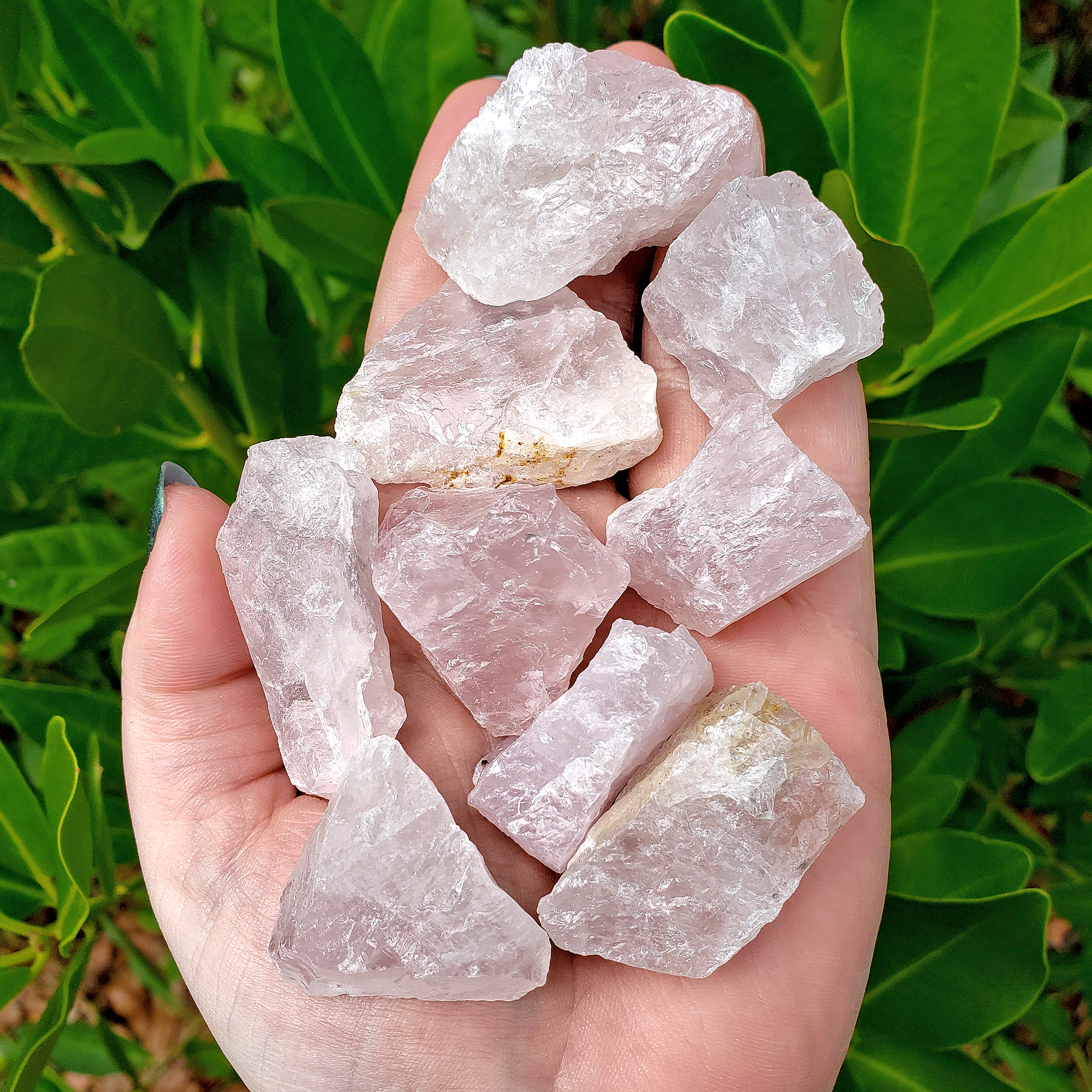 Rose Quartz Raw Crystal Rough Gemstone - Small One Stone - Outdoor Sunlight