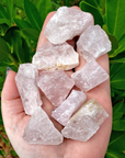 Rose Quartz Raw Crystal Rough Gemstone - Small One Stone - Outdoor Sunlight