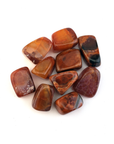 Fire Agate Natural Tumbled Crystal - One Stone - White Background