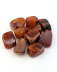 Fire Agate Natural Tumbled Crystal - One Stone - White Background 2
