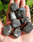 Larvikite Feldspar Natural Tumbled Crystal - One Stone - Handful in Bright Sunlight