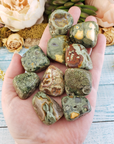 Green Rainforest Rhyolite Natural Tumbled Stone - One Stone - In Hand