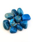 Turquenite Blue Howlite Dyed Tumbled Stone - One Stone - White Background 2