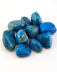 Turquenite Blue Howlite Dyed Tumbled Stone - One Stone - White Background