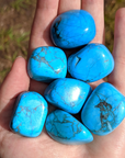 Turquenite Blue Howlite Dyed Tumbled Stone - One Stone - Outdoor Photo