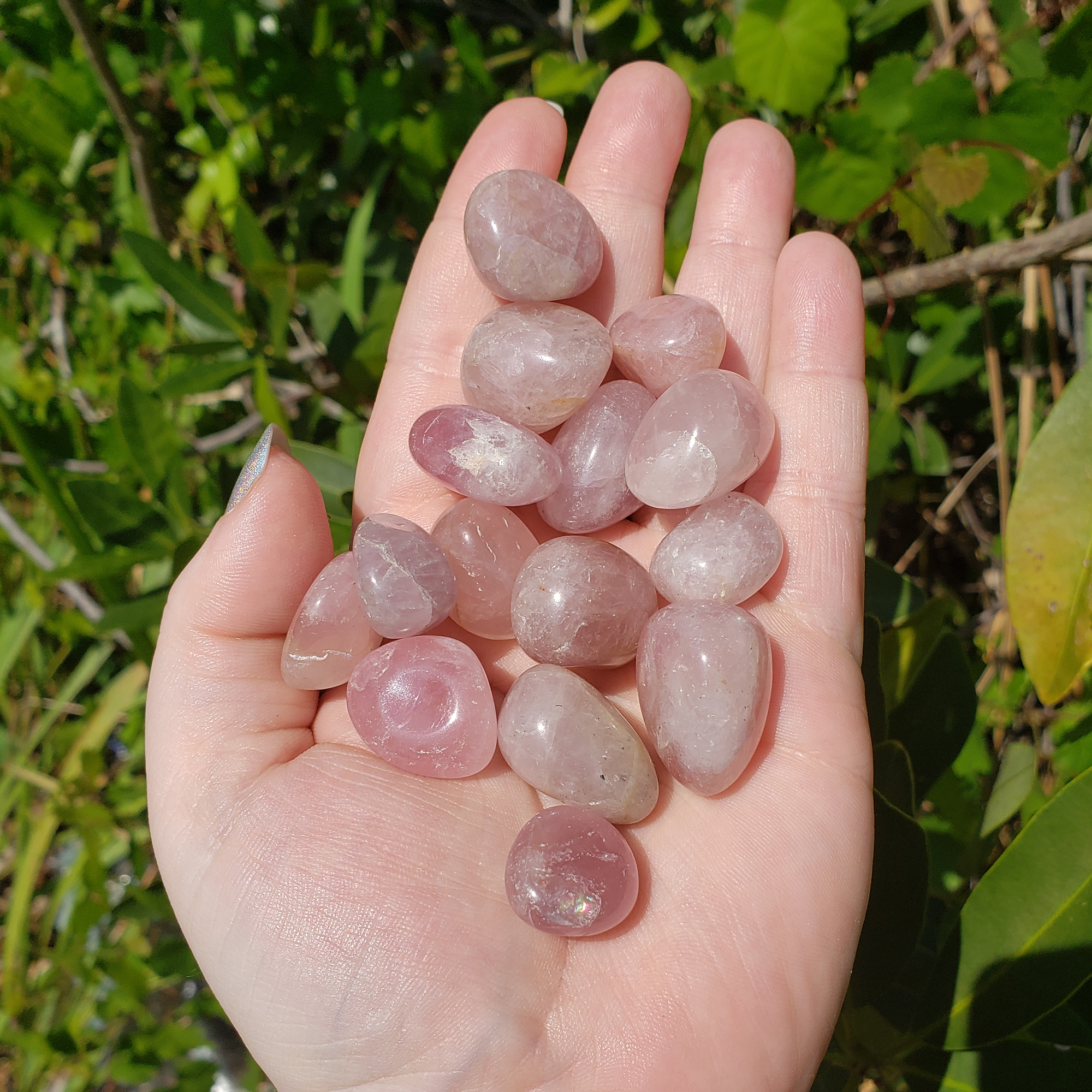 Madagascar Purple Rose Quartz Natural Tumbled Crystal - Small One Stone - Outdoor Photo