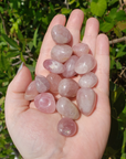 Rose Quartz Crystal Natural Gemstone Tumbled Stone | High Quality - 8