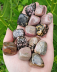 Rhodonite Natural Crystal Tumbled Stone - One Stone - Outdoors