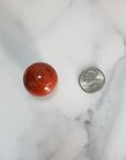 Red Jasper Natural Gemstone Sphere Crystal Orb Marble - One 30mm Sphere - Size Comparison