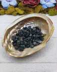 kambaba jasper crystal chips in shell