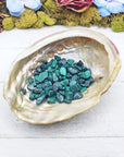 malachite crystal chips in shell
