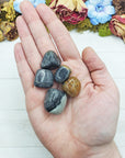 picasso jasper stones in hand