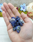 tumbled sodalite stones in hand