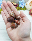 red agatized wood stones in hand