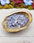 blue agate crystal chips in shell