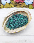 malachite crystal chips in shell