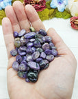 charoite stones in hand