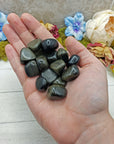 Gold Sheen Rainbow Obsidian Crystal Tumbled Stone | SMALL