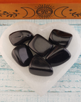 Black Obsidian Natural Tumbled Stone - One Stone - In Selenite Bowl