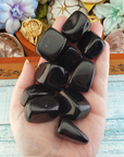 Black Obsidian Natural Tumbled Stone - One Stone - In Hand