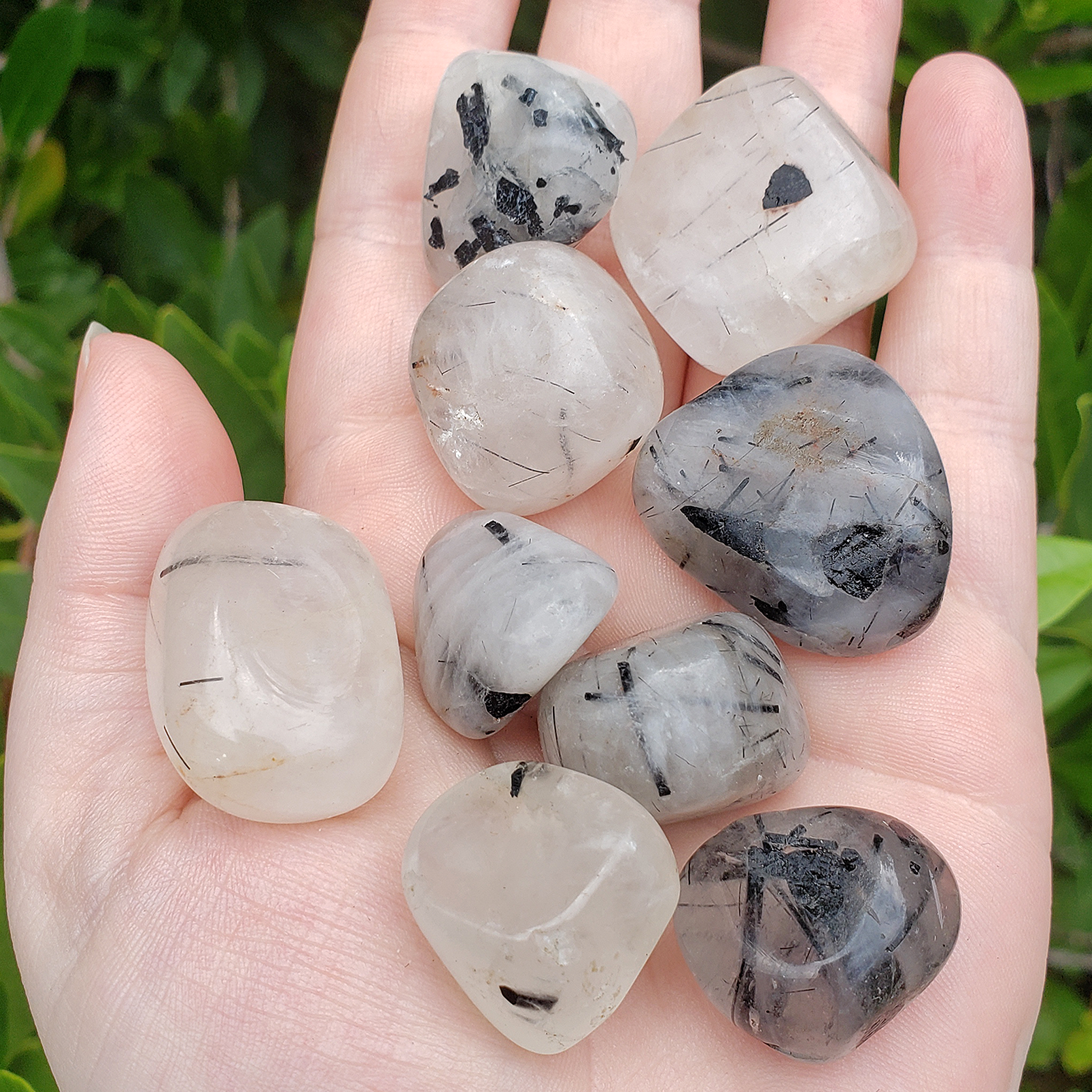 Clear Quartz With Black Lines Clear Quartz With Black Lines