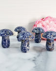 Blue Sodalite Stone in Quartz Crystal Mushroom Natural Gemstone Toadstool Carving