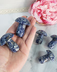 Blue Sodalite Stone in Quartz Crystal Mushroom Natural Gemstone Toadstool Carving - 5