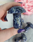 Blue Sodalite Stone in Quartz Crystal Mushroom Natural Gemstone Toadstool Carving - 3