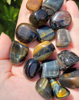 Multi Blue Tigers Eye Crystal Natural Gemstone Tumbled Stone - In Sunlight