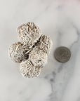 Unique Desert Rose Selenite Crystal Cluster Heat Treated Rough Mineral Formation | Bouquet - 3