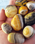 Bumblebee Jasper Calcite Crystal Natural Gemstone Tumbled Stone - 1