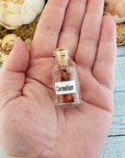 Carnelian Natural Crystal Chips Bottle - Natural Gemstone Chips in Glass Bottles - One Bottle