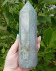 Unique Jumbo Natural Ruby Kyanite Crystal Tower Gemstone Obelisk - Cordelia - Sunlight 5
