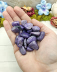 Charoite SMALL Tumbled Stone - One Stone