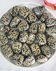 Dalmatian Jasper Crystal Natural Gemstone Tumbled Stone