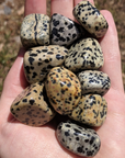 Dalmatian Jasper Crystal Natural Gemstone Tumbled Stone - 4