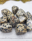 Dalmatian Jasper Crystal Natural Gemstone Tumbled Stone - 5