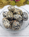 Dalmatian Jasper Crystal Natural Gemstone Tumbled Stone - 6