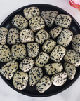Dalmatian Jasper Crystal Natural Gemstone Tumbled Stone - 2