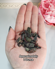 Dragon Stone Natural Gemstone Chips By the Ounce - 1 Ounce Dragon Blood Jasper Crystal Chips in Hand