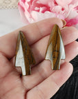 Unique Tiger Iron Crystal Arrowheads Natural Gemstones | Set of 2 Drilled Arrowheads - 1