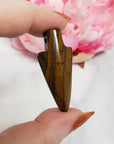 Unique Tiger Iron Crystal Arrowheads Natural Gemstones | Set of 2 Drilled Arrowheads - 6