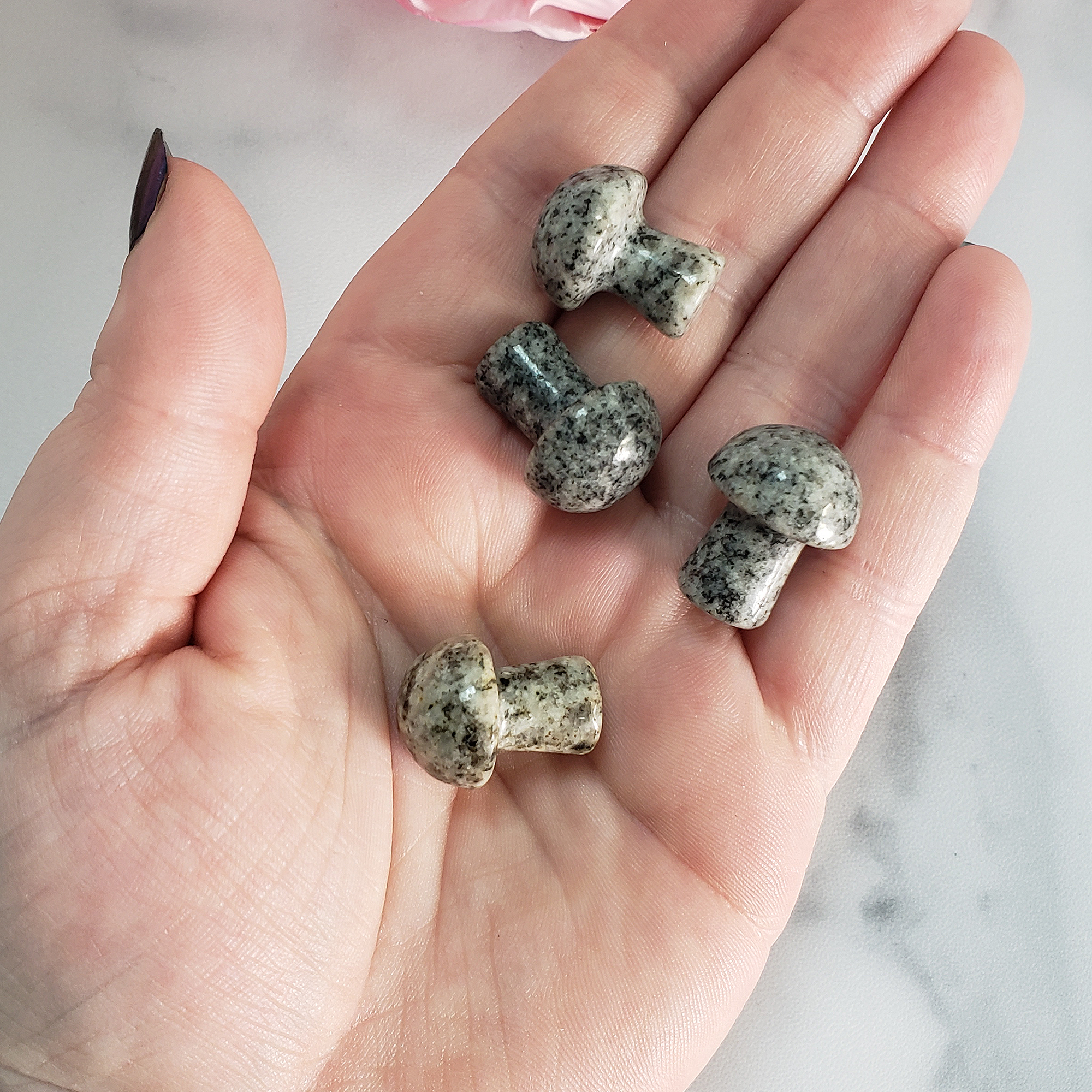 Granite Rock Natural Gemstone Mushroom Toadstool Mini Carving - Granite Stone Toadstools