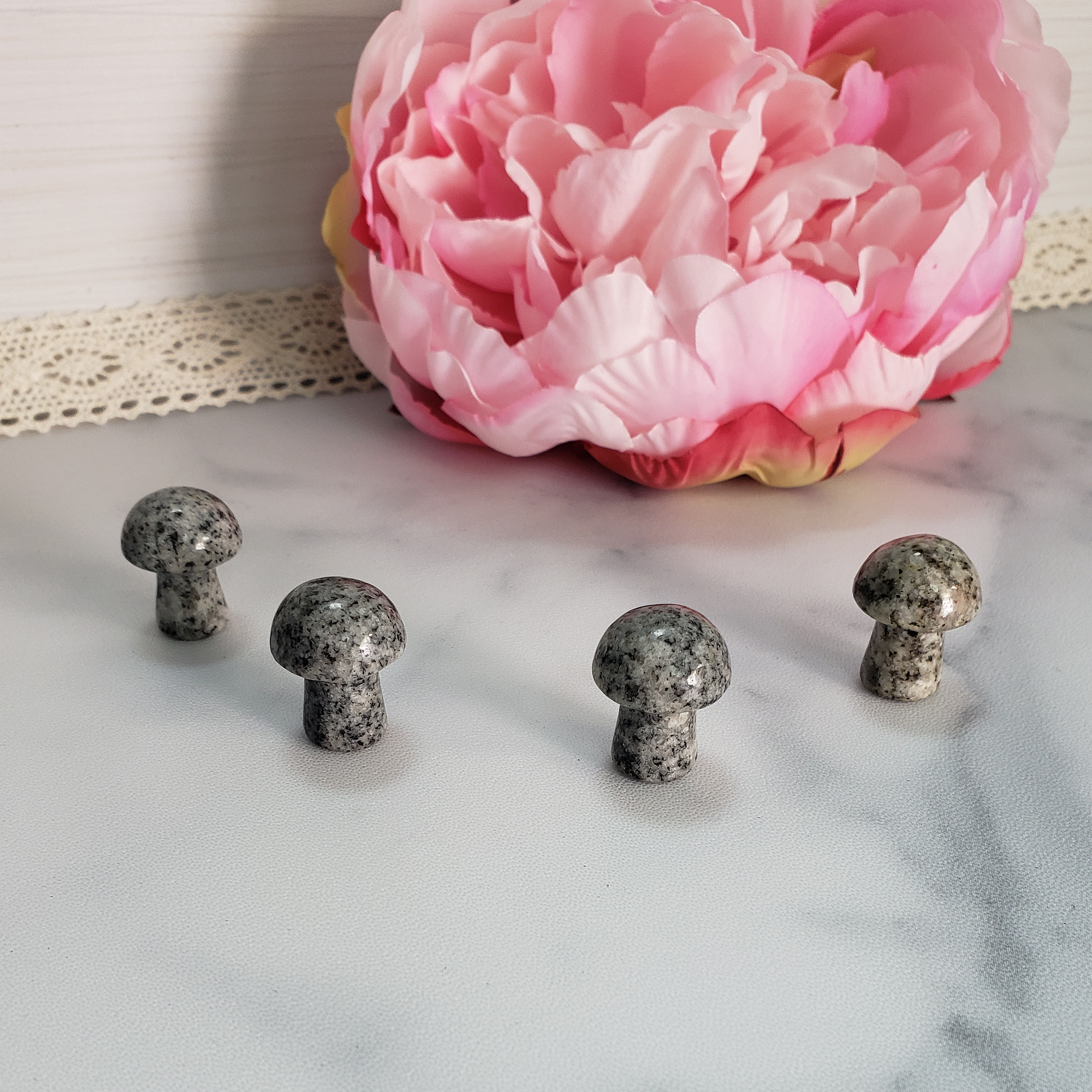 Granite Rock Natural Gemstone Mushroom Toadstool Mini Carvin