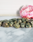Green Rainforest Rhyolite Rock Natural Tumbled Stone - 1