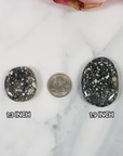 Guinea Fowl Jasper Fossil Stone Natural Crystal Palm Stone Worry Stone Meditation Tool - 1