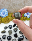 Gold Sheen Rainbow Obsidian Crystal Tumbled Stone | SMALL