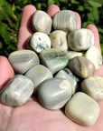 Infinite Serpentine Stone Natural Gemstone Tumbled Crystal - Outdoors