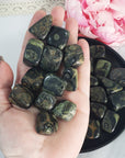 Kambaba Jasper Crocodile Jasper Crystal Natural Gemstone Tumbled Stone - 1